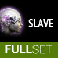 FULL SET OF HIGH-GRADE AMULET(Slave) IMPLANTS 