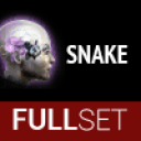 FULL SET OF MID-GRADE SNAKE IMPLANTS